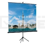 Экран на треноге Lumien 160x160см Eco View LEV-100105 1:1 напольный рулонный, фото2