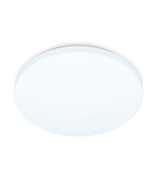 Потолочный светодиодный светильник Ambrella light FZ1008 WH белый 16W 6400K D250*55 (Без ПДУ)