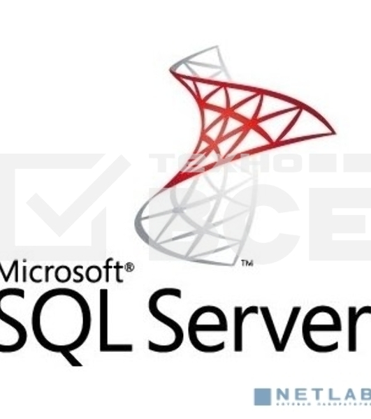 Лицензия Microsoft SQL Server Standard Edition 2019 English DVD 10 CAL (228-11548)