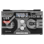 Радиоприемник портативный Сигнал БЗРП РП-306 черный USB SD, фото2