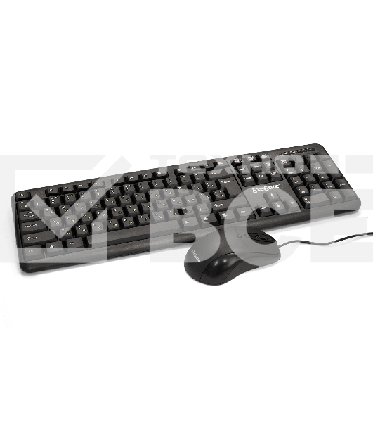 Комплект ExeGate EX287139RUS Professional Standard Combo MK120-OEM (клавиатура влагозащищенная 104кл. + мышь оптическая 1000dpi, 3 кнопки и колесо прокрутки; USB, длина кабелей 1.3м, черный, ОЕМ)