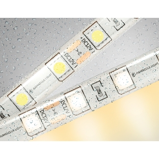 Светодиодная лента Ambrella light GS2101 5050 60Led/ 14.4W m/ 12V IP65 3000K/ 5000*10*2.87mm (2 конт.)