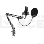 Микрофон Ritmix RDM-169 черный, фото 1