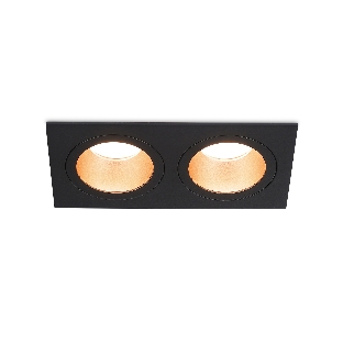 Встраиваемый точечный светильник Ambrella light TN102833/2 BK/GD черный/золото GU5.3/2 178*93*50