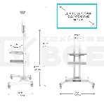 Стойка для телевизора с кронштейном ONKRON TS1552 40
