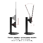 Монитор с аудио 23.8' 100 Гц ExeGate ProSmart EH2400C (IPS LED Grade A+, FHD, 1920x1080@100Гц, 16:9, 250cd/m2, 1000:1, 178°/178°, 3-5ms, audio-out, Speakers, D-Sub, HDMI, DisplayPort, кабель HDMI 1,5м, VESA, регулировка высоты (HAS), регулировка наклона (tilt), поворот экрана (swivel), поворот экрана на 90° (pivot), чёрный), фото10