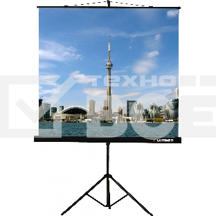 Экран на штативе Lumien Eco View 180x180см (раб.область 174х174 см) Matte White с возможностью настенного крепления 1:1