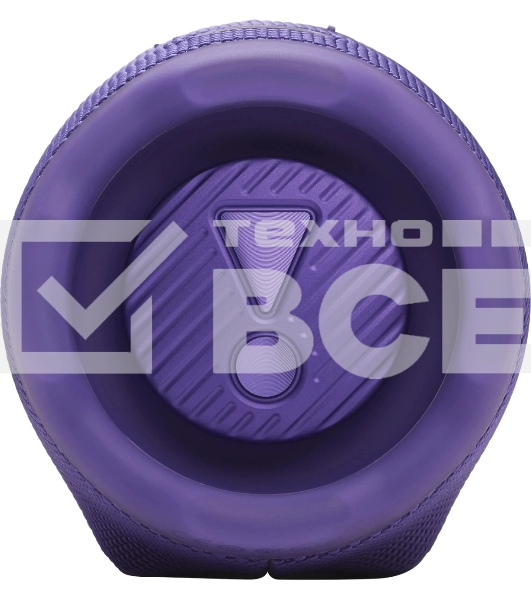 Портативная акустика JBLCHARGE6PUR пурпурный