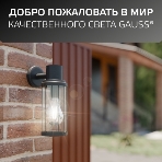 Светильник садово-парковый Gauss Vega на стену вниз 10.5x24x14.2cm, 170-240V/50Hz, 1xE27, Max.60W, IP: 54, 1/24, фото3
