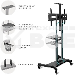 Стойка для телевизора с кронштейном ONKRON TS1881 50