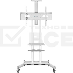 Стойка для телевизора с кронштейном ONKRON TS1881 50