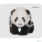 Коврик для мыши Defender Wild Animals и, 220x180x2 мм, 8 видов, фото4