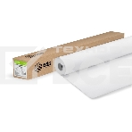 Пленка Cactus CS-PPM160-106750 42