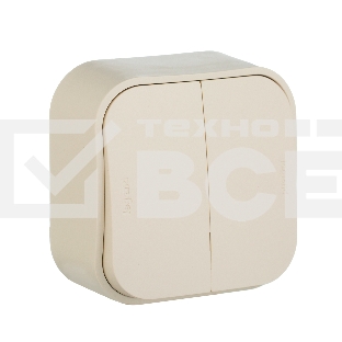 Переключатель 2-клавишный 10А 782236 Legrand Quteo Сл. кость