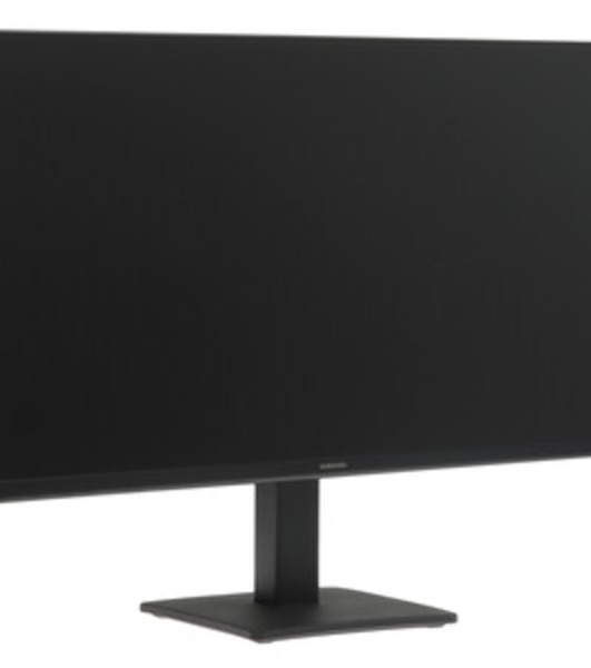 Монитор 24' Samsung LS24D300GAIXCI IPS 1920x1080, 100 Гц, 5 мс, 16:9, 250 кд/м², 1xHDMI 1.4, 1xVGA, черный