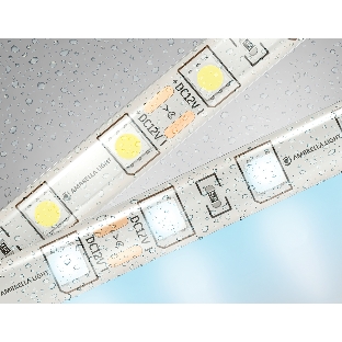 Светодиодная лента Ambrella light GS2103 5050 60Led/ 14.4W m/ 12V IP65 6500K/ 5000*10*2.87mm (2 конт.)