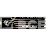Накопитель SSD MSI M461, 4TB, PCIe 4.0 x4, M.2 2280, NVMe, R/W 5000/4200, фото4