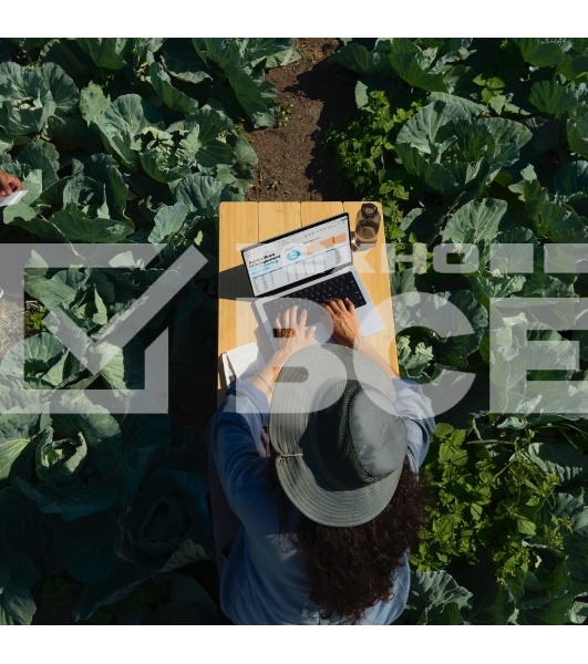 Ноутбук 14-inch MacBook Pro: Apple M4 Pro 12-core CPU, 16-core GPU/24Gb/512Gb SSD - Space Black/RU