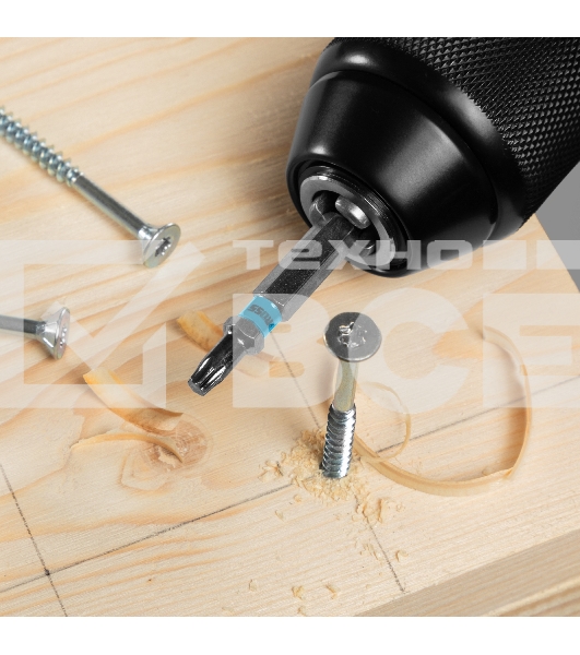 Набор бит TORX 20х50, сталь S2, 10 шт. Gross