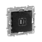 Розетка USB 2-ая 240В/5В 2400мА | 672694 | Legrand Etika Антрацит, фото 1