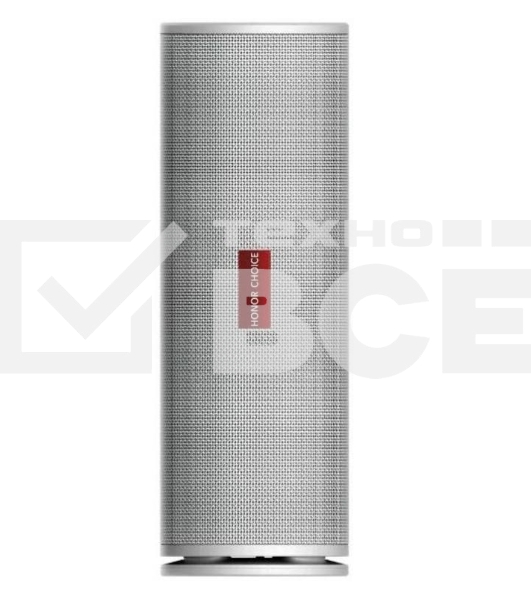 Акустическая система Honor Choice BTH 30W белый PRO 5504AAVN VNC-ME00