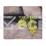 Коврик для мыши Gembird MP-ART49, 'папоротник', 229х195х2мм, вспененный ПВХ/пластик, пакет, фото3