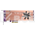 Плата расширения QNAP QM2-2P-244A Dual M.2 22110/2280 SATA SSD expansion card (PCIe Gen2 x2), Low-profile bracket pre-loaded, Low-profile flat and Full-height are bundled (shorter version to support TVS-x82/TS-x77 PCIe slot 2 & slot 3), фото5