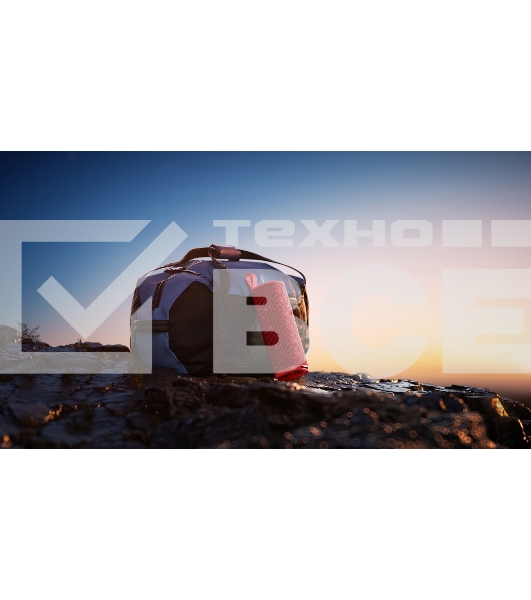 Портативная колонка Xiaomi Sound Outdoor 30Вт красный