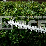 Кусторез аккумуляторный RBC510-36, Li-ion, 36 В, 4 Ач, нож 510 мм, поворотная ручка Denzel, фото22
