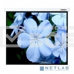 Экраны LUMIEN Master Picture LMP-100102, фото3