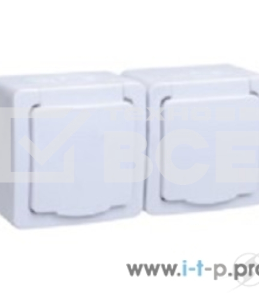 Розетка двухместная с з/к с крышкой для открытой установки РСб22-3-ГПБб IP54 серия 