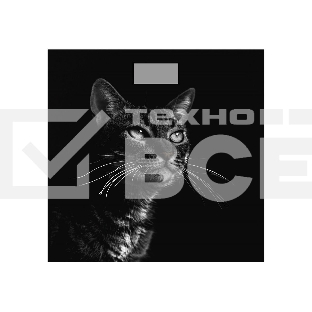 Весы Добрыня DO - 3006C (180кг) электр.(черный кот)