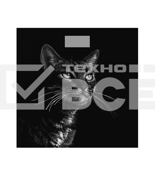 Весы Добрыня DO - 3006C (180кг) электр.(черный кот)