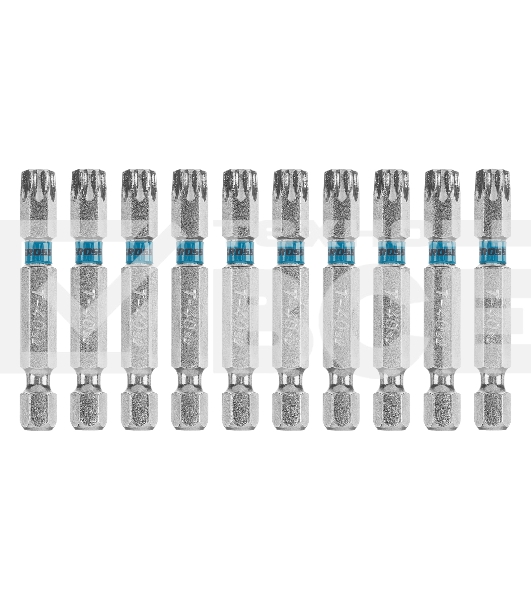 Набор бит TORX 40х50, сталь S2, 10 шт. Gross