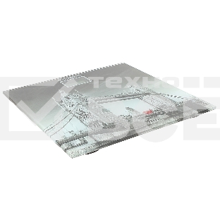 Весы напольные  Endever Skyline FS-541 (150кг, стекло, Лондон)