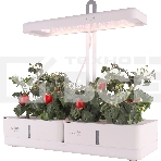 Гидропонная установка Cactus Garden 3л 20Вт белый (CS-LEDPOT-08), фото2