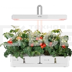 Гидропонная установка Cactus Garden 3л 20Вт белый (CS-LEDPOT-08), фото10