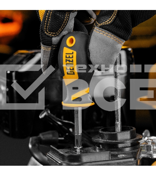 Набор инструментов Denzel 1/2', 1/4', CrV, S2, пластиковый кейс, 122 предмета