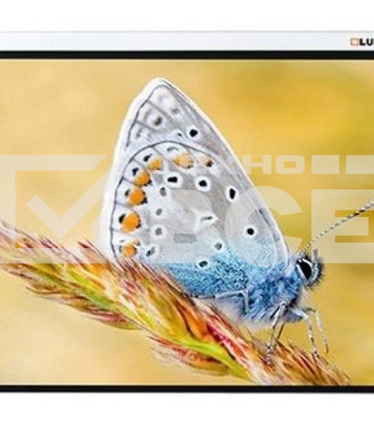 Экран с электроприводом Lumien Master Control 229x305 см (146