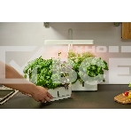 Гидропонная установка Cactus Garden 3л 20Вт белый (CS-LEDPOT-08), фото8