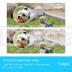 Камера видеонаблюдения IP TP-Link Tapo C420S1 Wi-Fi 3.18-3.18мм цв. корп.:белый, фото14