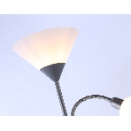 Светильник Ambrella light TR97626/2 SL серебро E27+E14 max 40W D245/100*1770, фото5