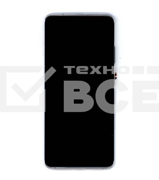 Дисплей для Samsung Galaxy S21 Ultra 5G SM-G998B/DS серебро