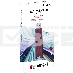 Флеш диск Kingston USB Drive 256GB DataTraveler MaxA USB3.2 Gen 2 Type-A, бордовый [DTMAXA/256GB], фото7