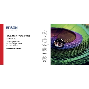 Фотобумага EPSON PROD PHOTO PAPER GLOSSY 200 44' X 30,5M