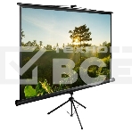 Экран Cactus 200x200см TriExpert CS-PSTE-200х200-BK 1:1 напольный рулонный, фото6