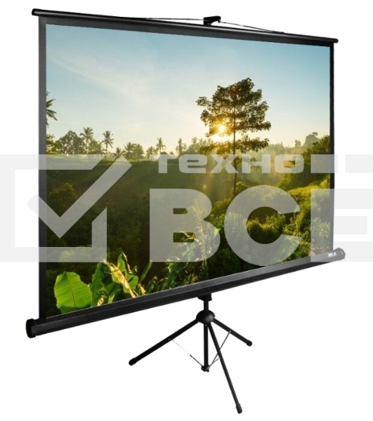 Экран Cactus 200x200см TriExpert CS-PSTE-200х200-BK 1:1 напольный рулонный