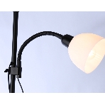 Светильник Ambrella light TR97629/2 BK черный E27+E14 max 40W D245/100*1770, фото5