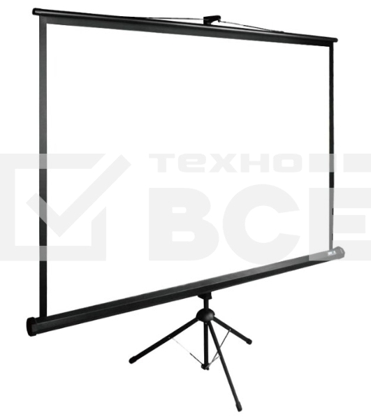 Экран Cactus 200x200см TriExpert CS-PSTE-200х200-BK 1:1 напольный рулонный