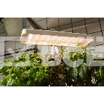 Гидропонная установка Cactus Garden 3л 20Вт белый (CS-LEDPOT-08), фото5